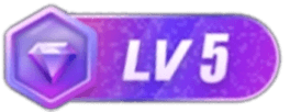 LV5 等级-LV5-taozir应用分享